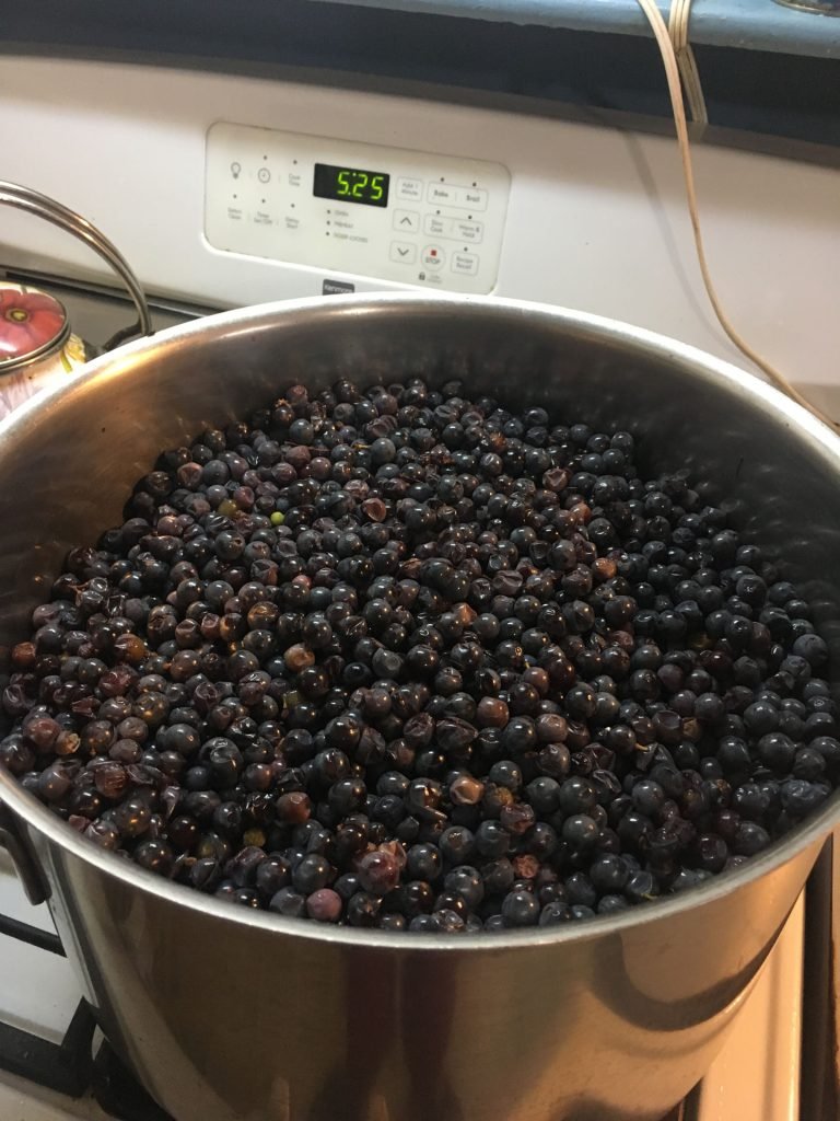Abundant, grape harvest for juice and wine